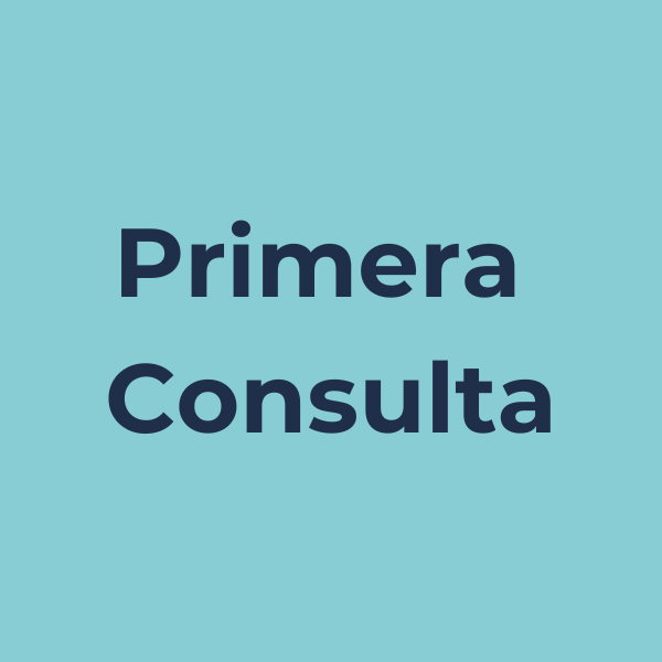 Primera consulta